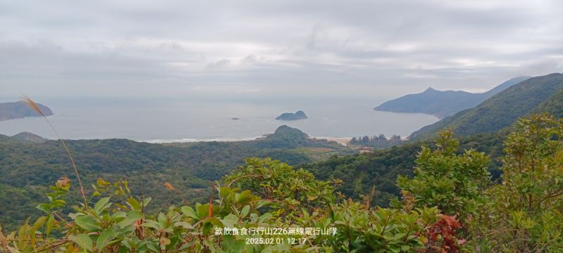 IMG_20250207_12185.jpg