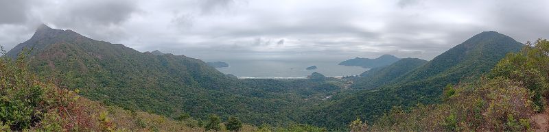 IMG_20250207_1122.jpg