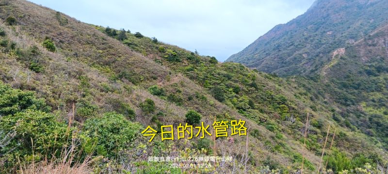 IMG_20250207_9712.jpg