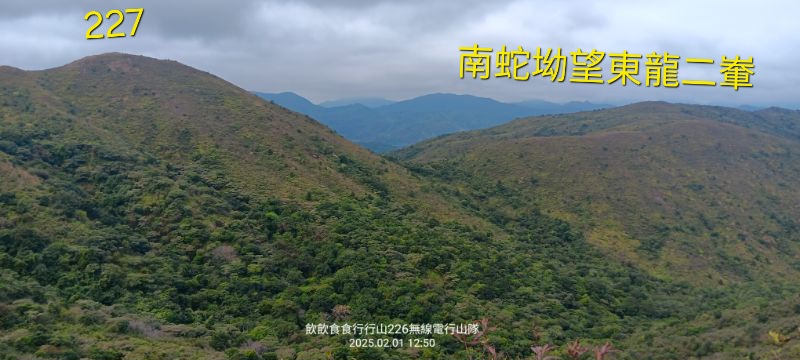 IMG_20250207_8494.jpg