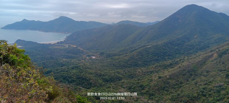 IMG_20250207_7964.jpg