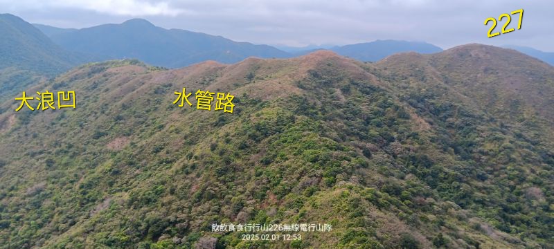 IMG_20250207_7653.jpg