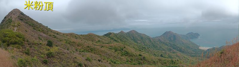 IMG_20250207_4204.jpg