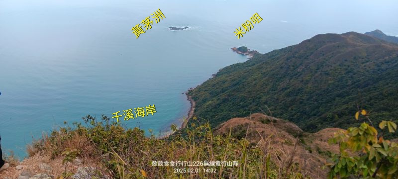 IMG_20250207_1805.jpg