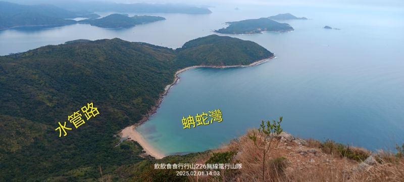 IMG_20250207_0650.jpg