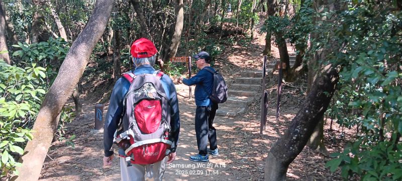 IMG_20250209_12646.jpg