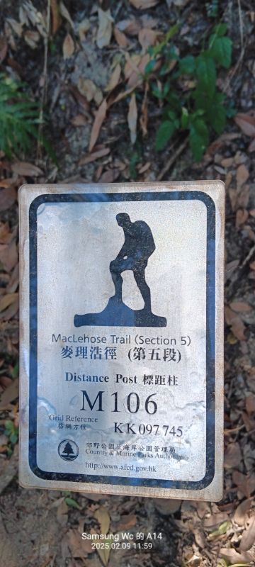 IMG_20250209_12132.jpg