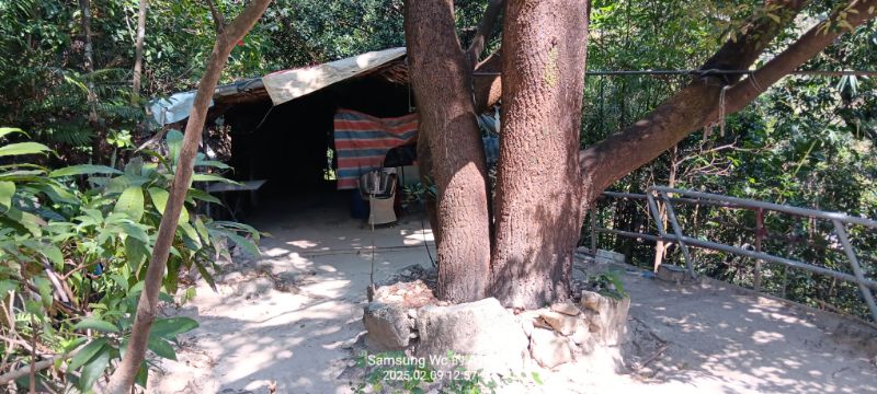 IMG_20250209_10438.jpg