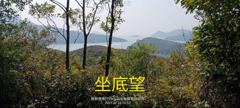 IMG_20250217_7468.jpg