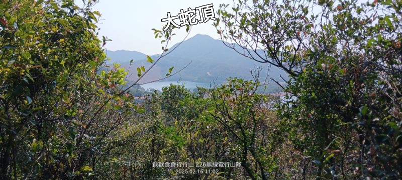 IMG_20250217_6773.jpg