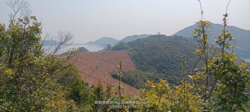 IMG_20250217_5561.jpg