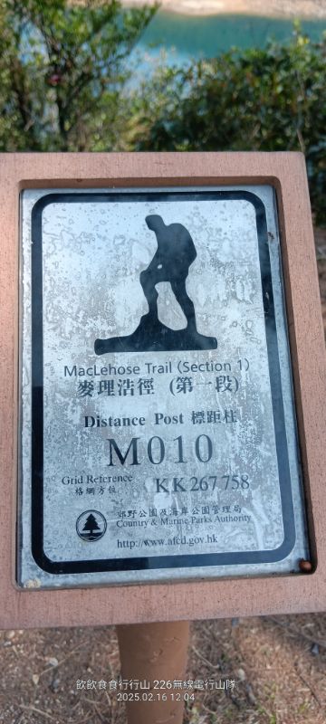 IMG_20250217_0874.jpg