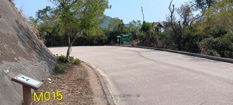 IMG_20250217_54952.jpg