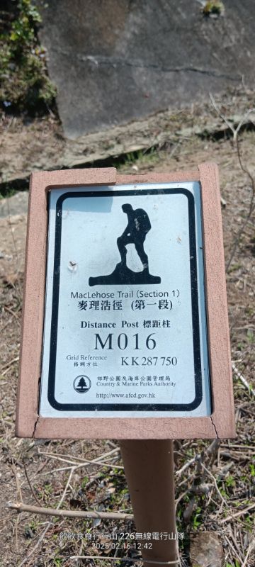 IMG_20250217_5167.jpg