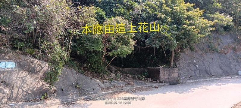 IMG_20250217_49466.jpg