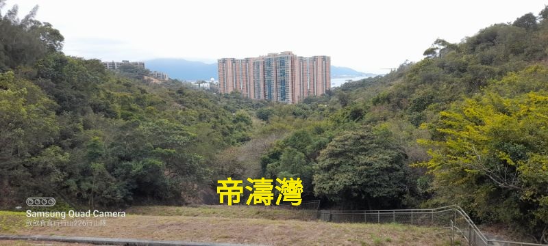IMG_20250225_37889.jpg