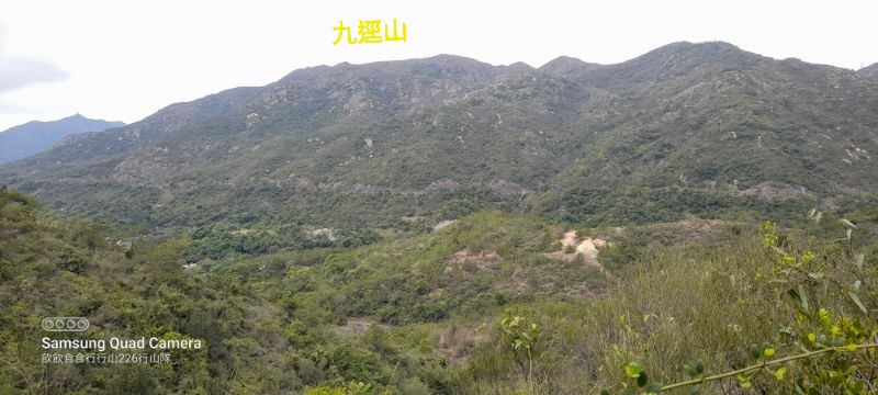 IMG_20250225_30695.jpg