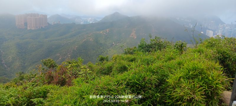 IMG_20250307_24379.jpg