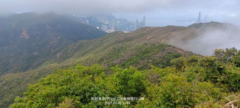 IMG_20250307_22381.jpg