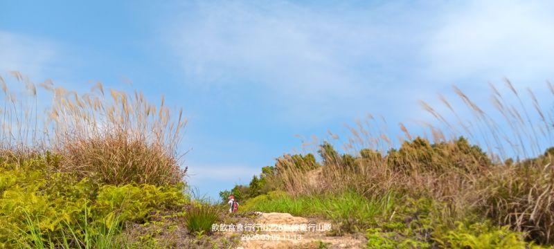 IMG_20250309_48945.jpg