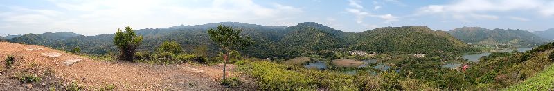 IMG_20250309_44372.jpg