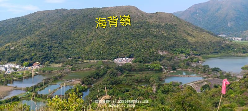 IMG_20250309_42964.jpg