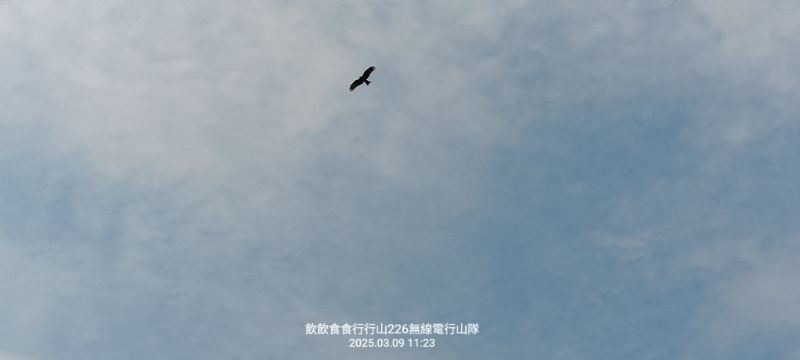 IMG_20250309_41912.jpg