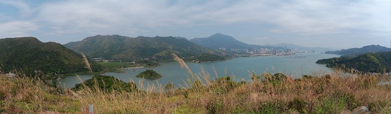IMG_20250309_38352.jpg