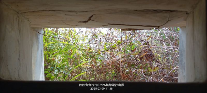IMG_20250309_37500.jpg