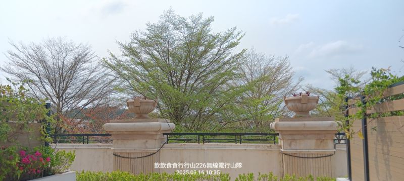 IMG_20250318_19145.jpg