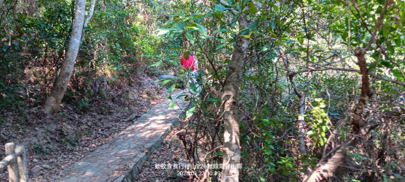 IMG_20250401_51528.jpg