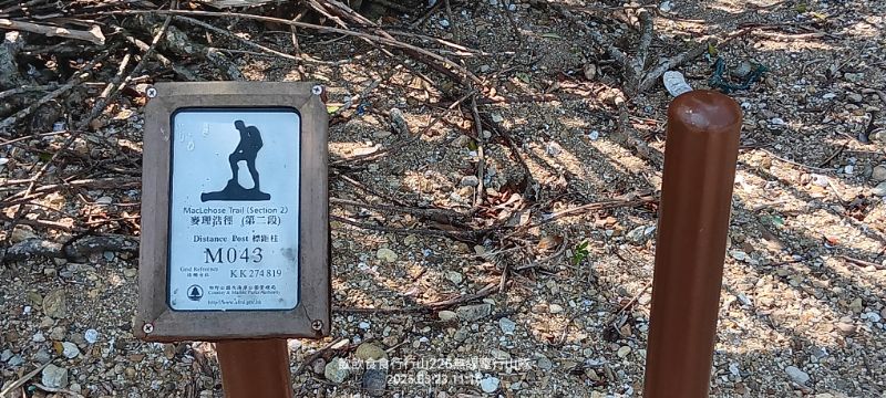 IMG_20250401_508.jpg