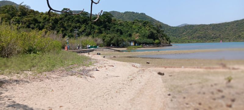 IMG_20250401_48269.jpg