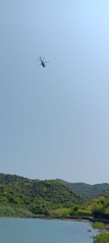 IMG_20250401_47864.jpg