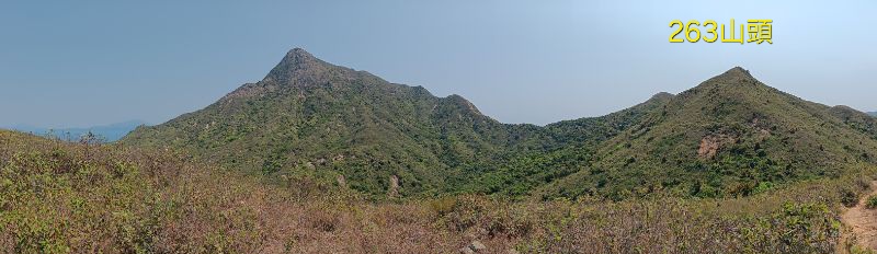 IMG_20250401_45359.jpg