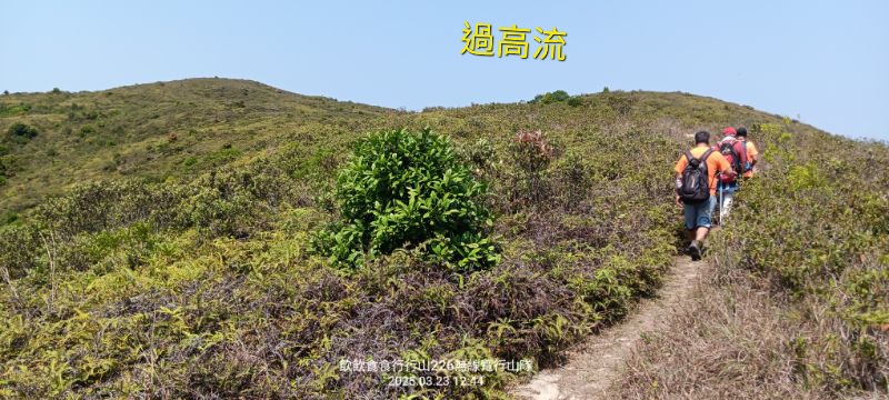 IMG_20250401_44148.jpg