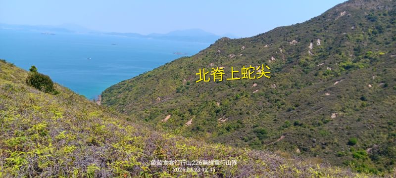 IMG_20250401_43899.jpg