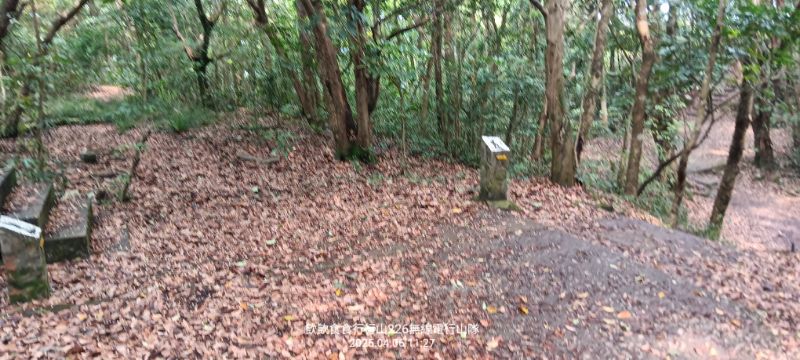 IMG_20250406_25841.jpg