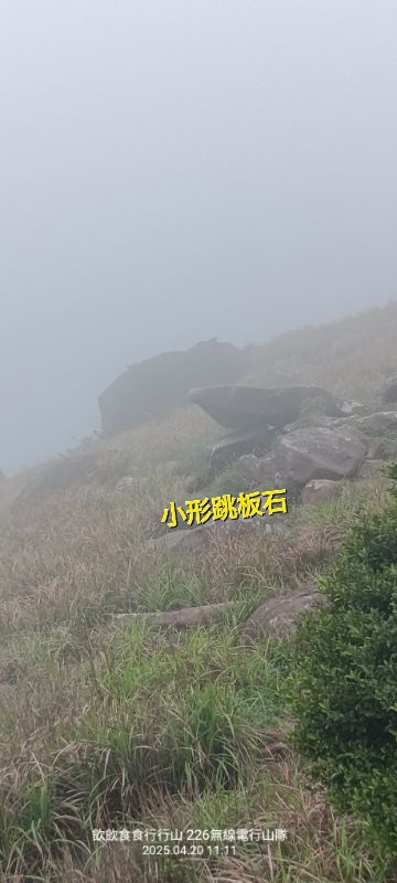 IMG_20250420_23453.jpg