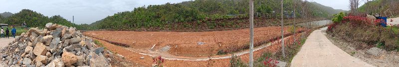 IMG_20250421_41369.jpg