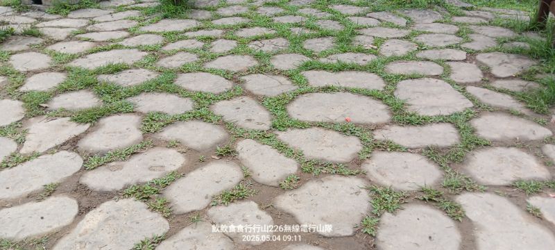 IMG_20250504_47634.jpg