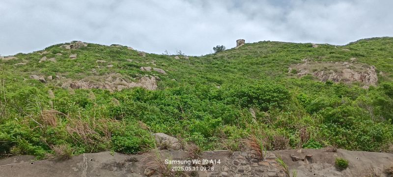 IMG_20250511_57494.jpg