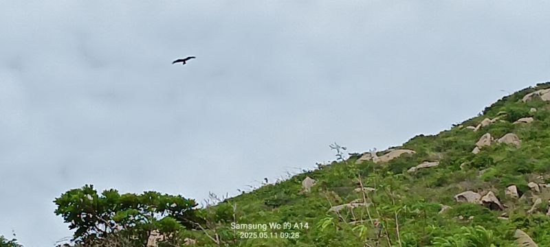 IMG_20250511_57280.jpg