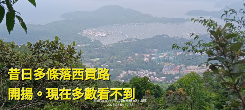 IMG_20250505_16621.jpg