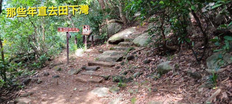 IMG_20250513_51173.jpg