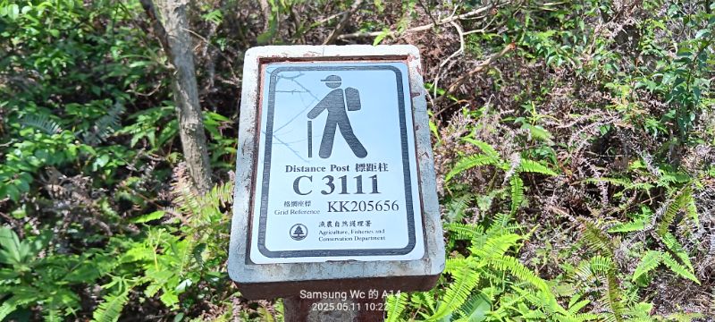 IMG_20250513_47810.jpg