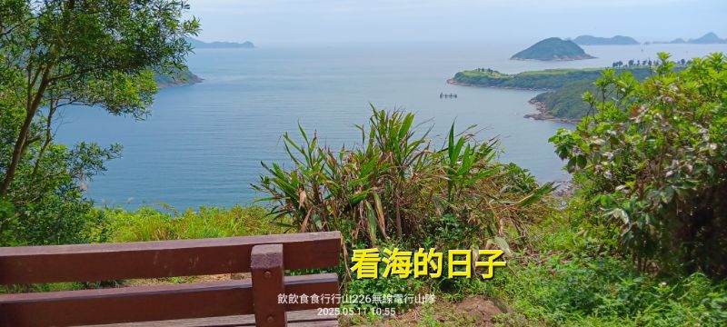 IMG_20250513_44104.jpg