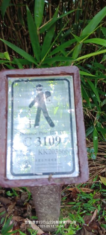 IMG_20250513_42986.jpg