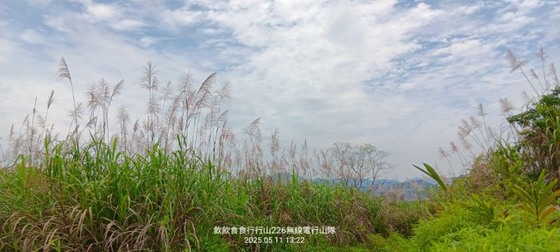 IMG_20250513_31485.jpg