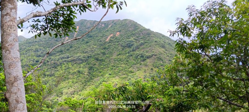 IMG_20250518_4982.jpg